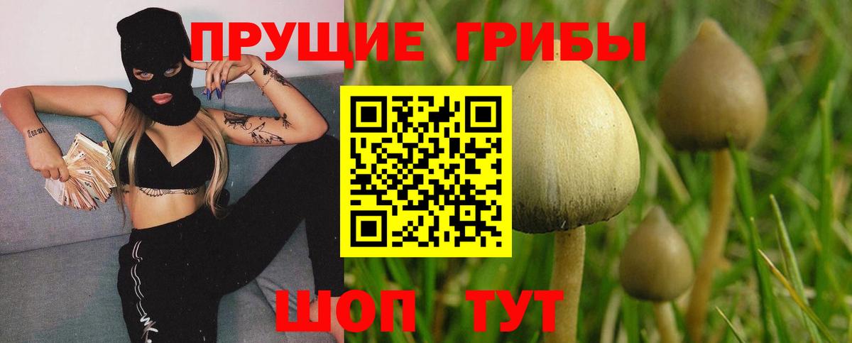 Тимашёвск  Галлюциногенные грибы MAGIC MUSHROOMS  Вход с VPN 